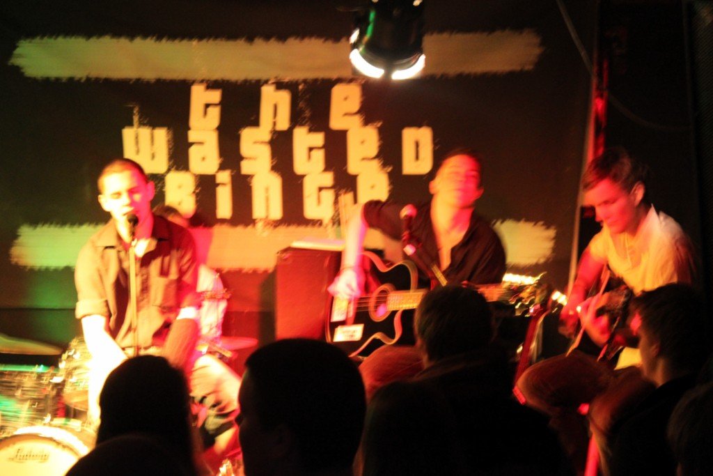 IMG_0261 [1024x768].JPG